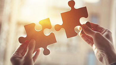 Merger and Amalgamation