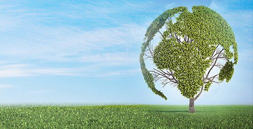 Sustainability
